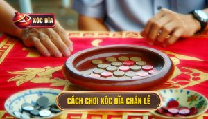 cách chơi xóc đĩa chẳn lẻ