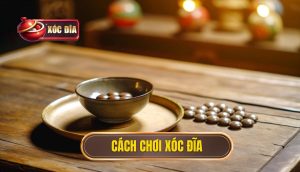 cách chơi xóc đĩa