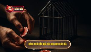 Cách phá bẫy nhà cái khi chơi xóc đĩa