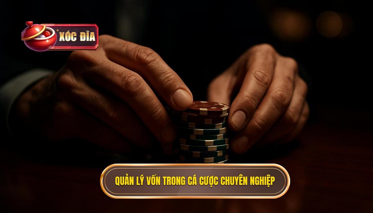 Trụ Cột Quản Lý Vốn_ Chìa Khóa Sống Còn Của Cá Cược Chuyên Nghiệp