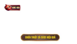 chiến thuật cá cược hiệu quả